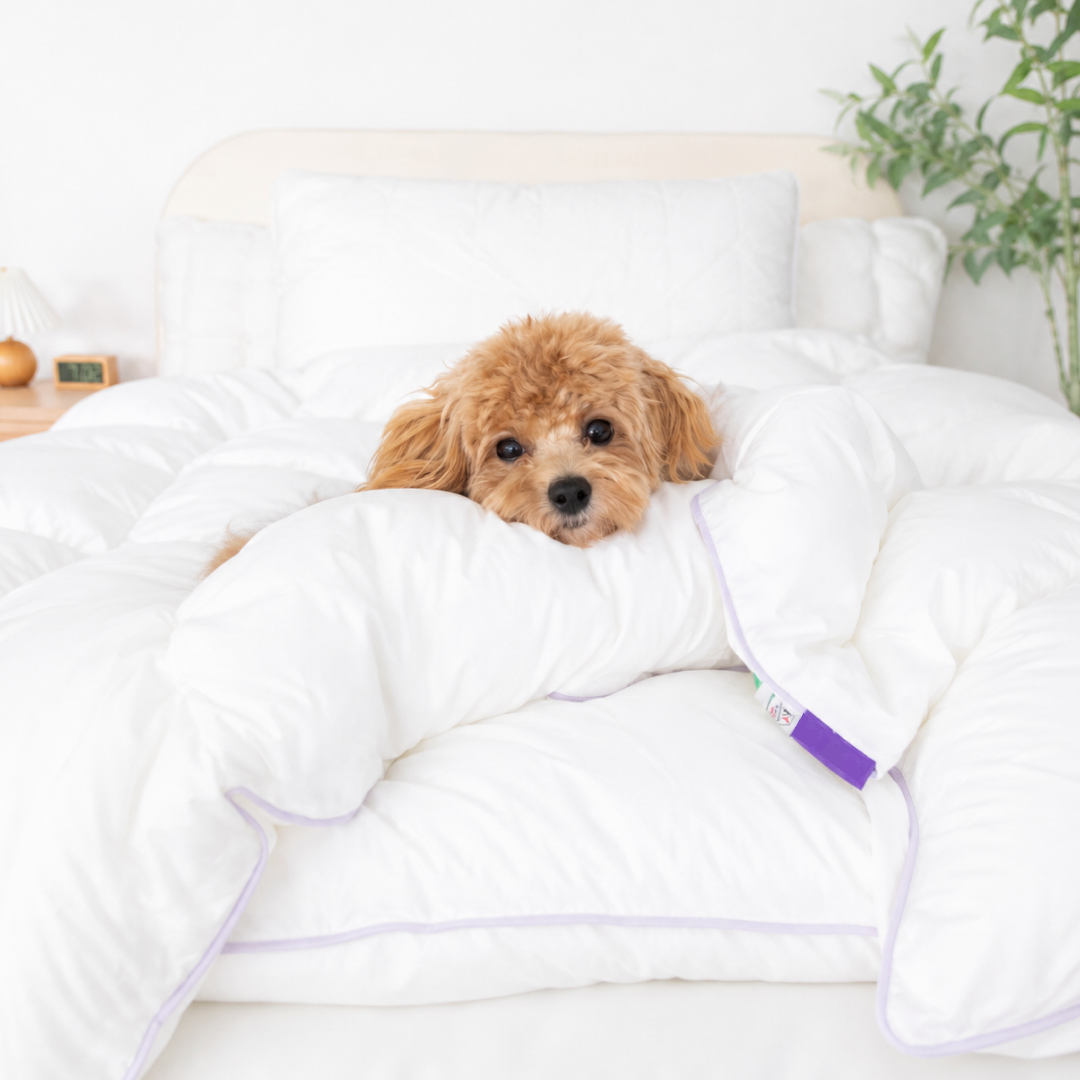 Down Alternative Duvet Insert